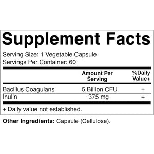 Vitamatic Bacillus Coagulans Shelf Stable Probiotic Supplement - Promote GI Digestive Health - 60 Capsules