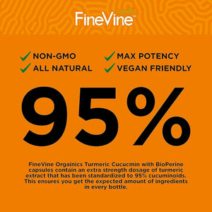 Turmeric Curcumin with Bioperine Black Pepper and Ginger - Made in USA - 120 Vegetarian Capsules