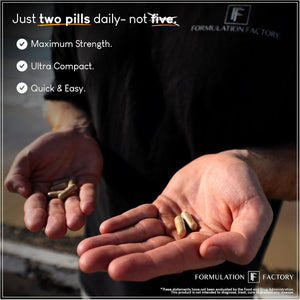 Self Obsessed 10 in 1 Masculinity Maximizer Supplement, Muscle Growth, Energy Management, Drive, Strength, Recovery 1-Month Supply