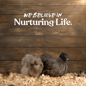 Manna Pro Chicken Feed Supplement | Omega Egg Maker Chicken Supplies 5 Pounds