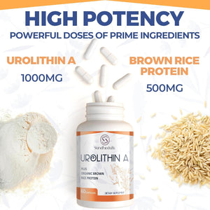 Urolithin a Supplement 1500MG plus Brown Rice Protein, for Exercise Performance & Premium Cellular, Gluten Free, 60 Capsules