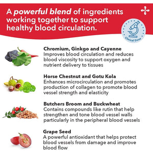 Lifeseasons Circulari-T - Blood Circulation Support Supplement - Artery Capillary & Vein Health - 90 Capsules