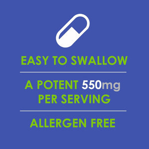 VH Nutrition Ginkgo BILOBA | 550Mg Standardized Extract Supplements | Cognitive and Memory Support* | 60 Capsules