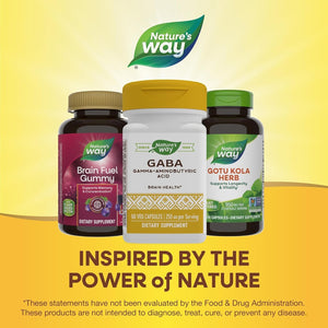 Nature'S Way GABA Gamma-Aminobutyric Acid, Supports Brain Health*, 60 Capsules