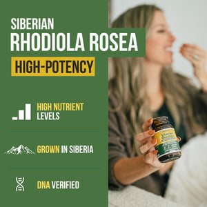 Max Strength Siberian Rhodiola – Helps Support Stress, Energy & Focus (60 Capsules)