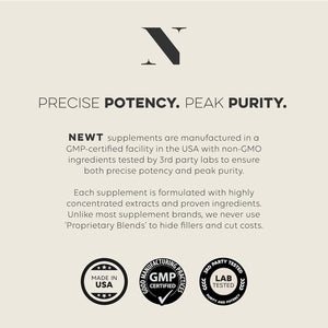 Newt Phosphatidylserine Supplement 600M - Brain Food, Neural Function and Stress Support 120 Capsules