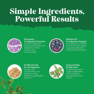 Gallbladder Support Digestive Enzymes with Ox Bile for Gallbladder & Pancreas Cleanse, Detox & Repair - 90 Capsules