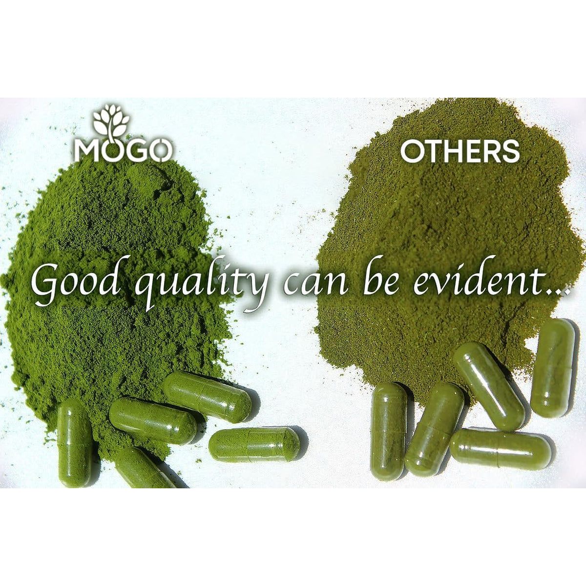 MOGO Organic Moringa Powder Capsules, for Energy, Immunity & Joint Health, 180 Count