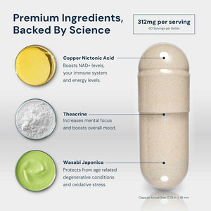 HPN Supplements NAD3 NAD+ Booster Clinically Proven & Independently Tested - Metabolic Repair | 312 Mg/ Serving - 120 Capsules