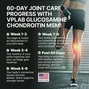 Vplab Glucosamine Chondroitin MSM Complex - Triple Strength Formula Supplement for Joint Support & Mobility 180 Count