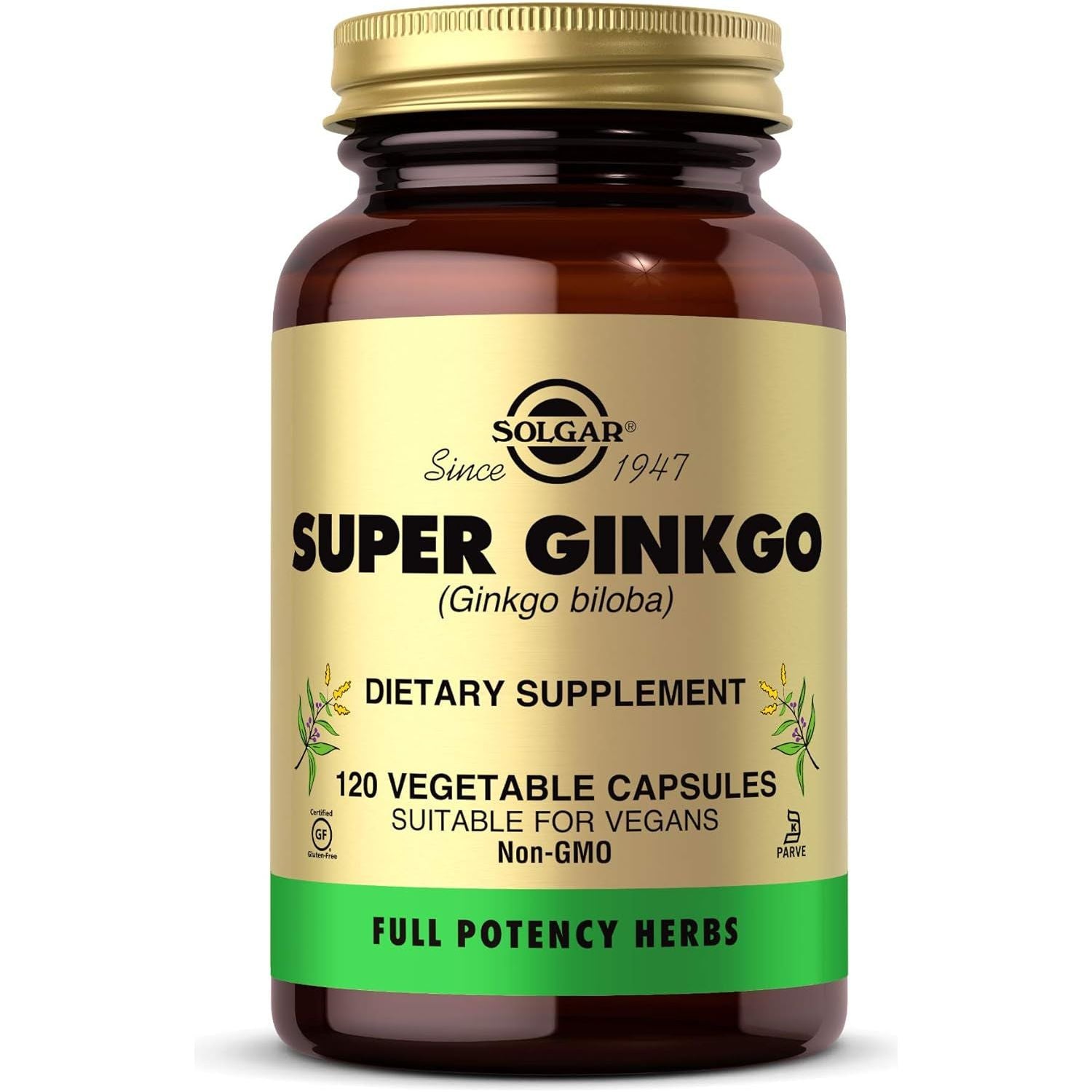 Solgar Super Ginkgo - Antioxidant & Nervous System Support - 120 Servings