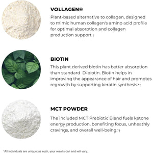 POWERLIFE Power Life® Peak MCT Powder Supplement with Plant-Based Collagen and Biotin - Vanilla Flavor (30 Servings)