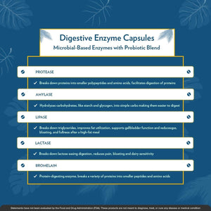 TERRA ORIGIN - Digestive Enzymes with Probiotics | Supports Healthy Digestion | Made in the USA, | 60 Servings