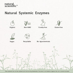 Natural Systemic Enzymes - Proteolytic Enzymes for Inflammation - 30 Capsules