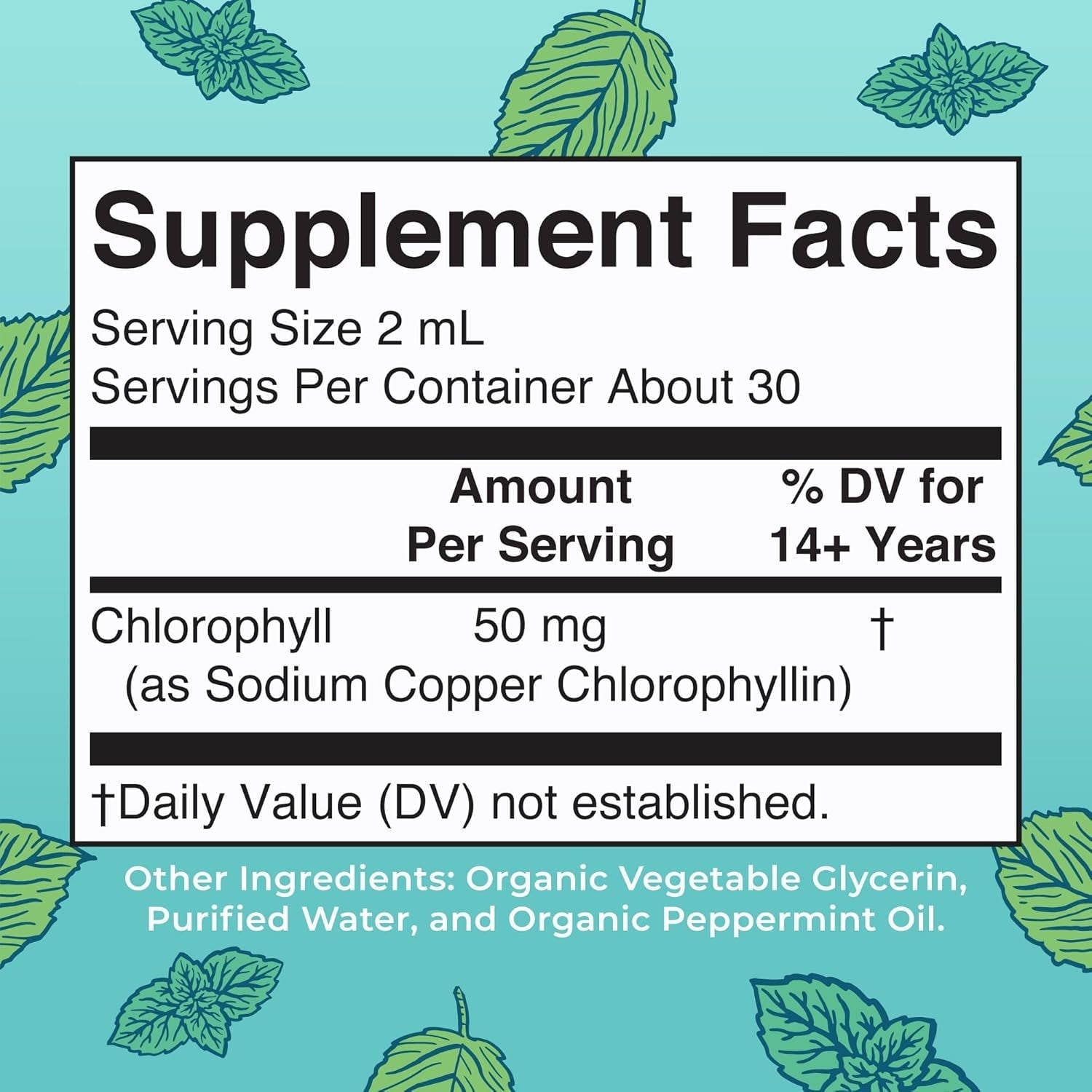 Maryruth Organics Chlorophyll Liquid Drops, Mulberry Derived Supplement for Ages 14+ Minty Flavor, 2 Fl Oz