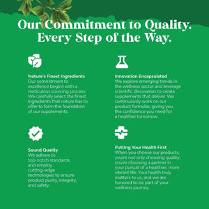 Gallbladder Support Digestive Enzymes with Ox Bile for Gallbladder & Pancreas Cleanse, Detox & Repair - 90 Capsules