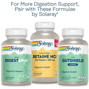 SOLARAY Pancreatin Supplement, 1300 Mg, 90 Count