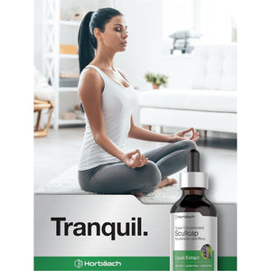 Horbäach Scullcap Herb Liquid Extract | 2 Fl Oz Tincture