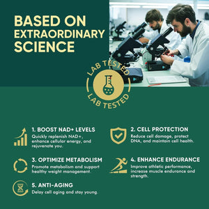 NMN Supplement Alternative-Nmnh 500Mg- for Boost NAD+ Levels, Anti-Aging, Energy and Concentration, 120 Capsules