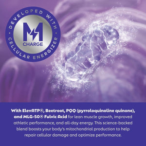 L'Evate You Vitality Daily Greens Powder 30 Superfoods, 9 Greens - for a Cellular Energy Boost (28 Servings)