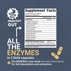 Holozyme | Digestive Enzymes | Enjoy Your Favorite Foods Again W/Protease, Amylase, Lipase, Lactase, and More | 90 Servings