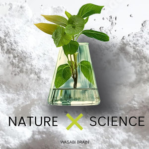 Organic Wasabi Extract + Zingserine Cognition the Most Targeted Memory Supplement (2 Month Supply)