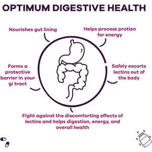 GOBIOTIX Lectin Defense - Lectin Blocker Supplement with MSM and Digestive Enzymes - 60 Capsules