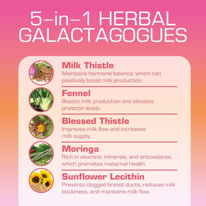 Lactation and Postpartum Support Gummies - Increase Milk Supply Milk Production