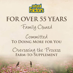 Natural Factors Stress-Relax Pharma GABA 250 Mg, Non-Drowsy Stress Support for Relaxation and Mental Focus, 60 Vegetarian Capsules