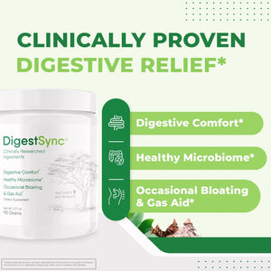 Digestsync Digestion Supplement for Gut Health - Natural Powder for Digestive Support, Bloating Relief 1 Month Supply