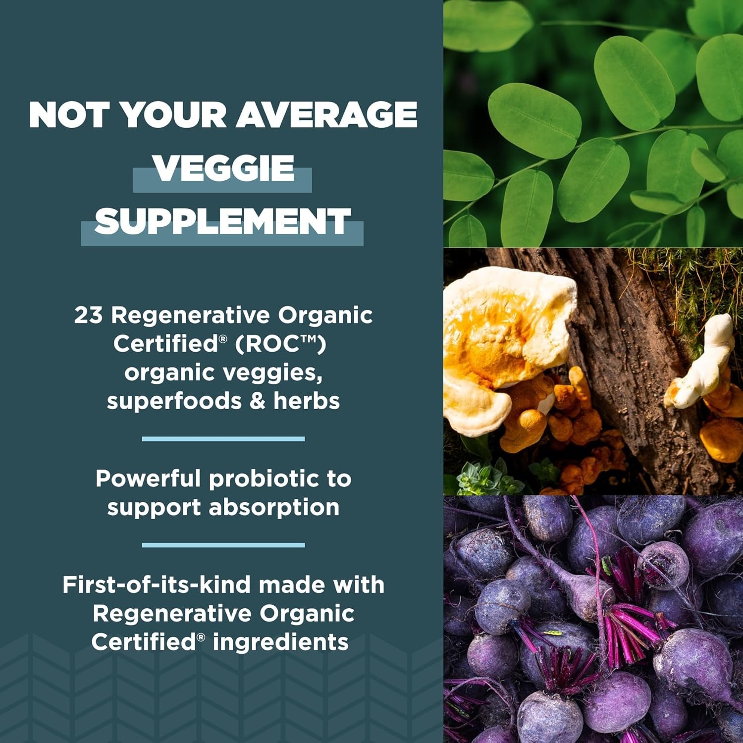 Ancient Nutrition Regenerative Superveggies, Supports Gut and Immune System Health, 60 Count