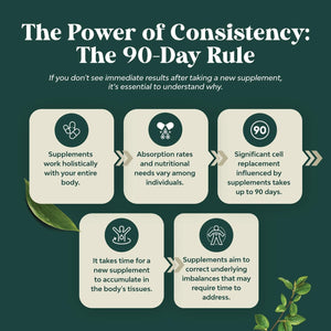 Digestive Enzymes with Ox Bile Supplement - Purified Ox Bile Salts for No Gallbladder & Pancreas Cleanse, Detox & Repair - (1 Month Supply)