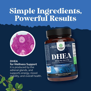 DHEA Supplement for Hormone Balance for Men & Women - Improves Mood Stability, Brain, Immune Function, Energy & Fertility - 120 Capsules