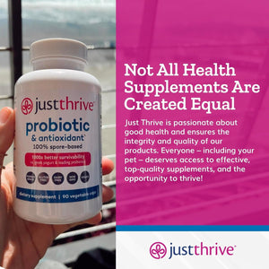 Just Thrive Probiotic & Antioxidant Supplement - 100% Spore-Based Digestive and Immune Support - 90 Caps