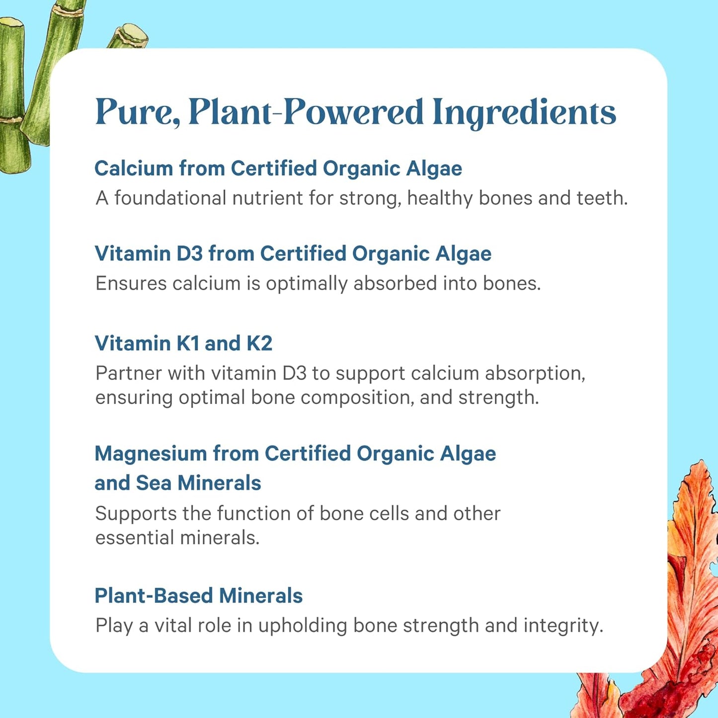 PURE SYNERGY Bone Renewal | Natural, Vegan Bone Health Supplement with Vitamin D3, K2, Magnesium, & Boron (150 Capsules)