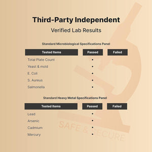 Pregnenolone 100Mg | Natural Precursor, Brain, & Immune Health Supplement 240 Capsules.