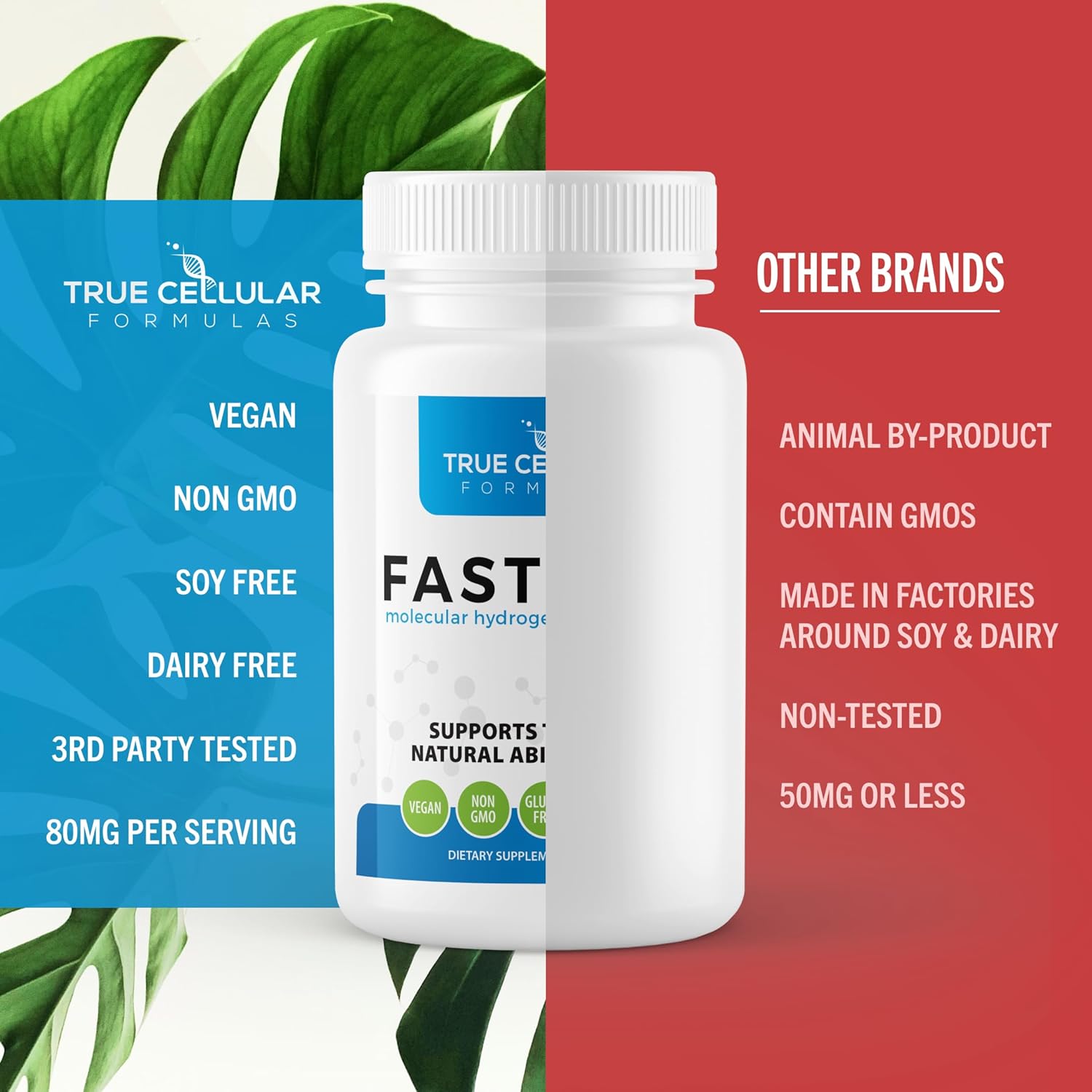 Fastonic Molecular Hydrogen Supplement-Elite Level of H2-60 Servings