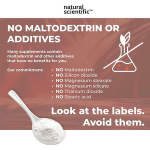 Natural Systemic Enzymes - Proteolytic Enzymes for Inflammation - 30 Capsules