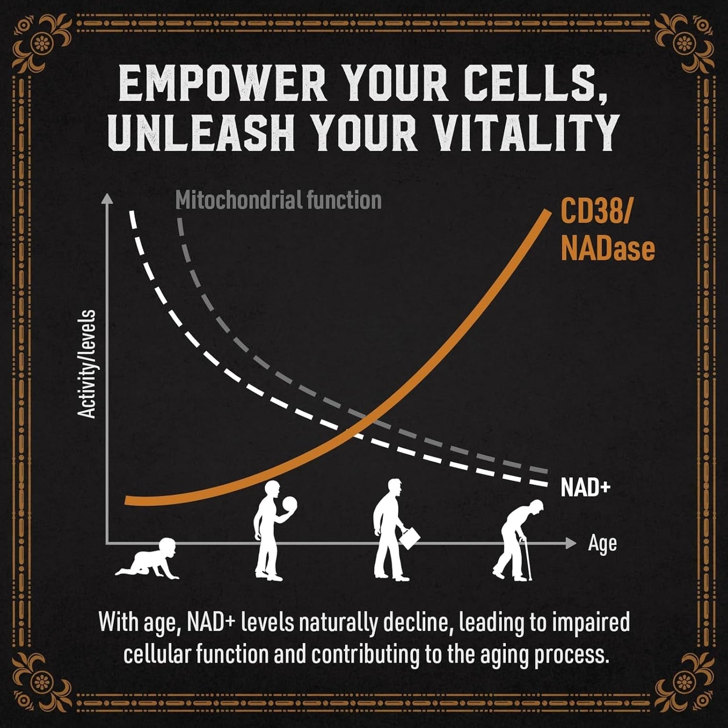 1800 MG Liposomal NAD Supplement for Energy Booster & Cellular Repair 60 Softgels