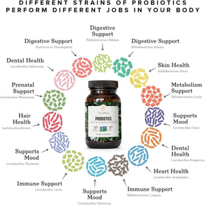 Truvani Probiotic | 15 Billion CFU | 15 Diverse Strains for Digestive, Immune & Brain Health Support 30 Servings