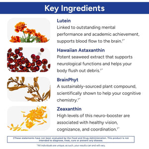 Gundry MD Power Phenols Brain Health Supplement for Cognition, Focus, Motivation, Productivity, and Energy - (30 Servings)