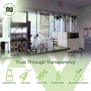 Nootropics Depot Ginkgo Biloba Extract Tablets | 120Mg | 90 Count