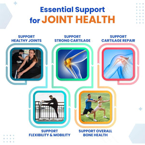 VITAL HERBAL Liposomal Glucosamine with Chondroitin, MSM- Maximum Potency- Support Joints, Cartilage- Made in the USA