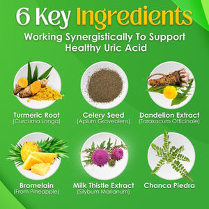 Nutrigout Uric Acid Cleanse Supplement 60 Vegetarian Capsules of 500 Mg Each