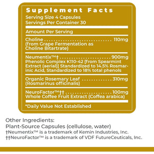 Premier Research Labs Cognitropic - Brain Supplements for Memory and Focus 120 Capsules