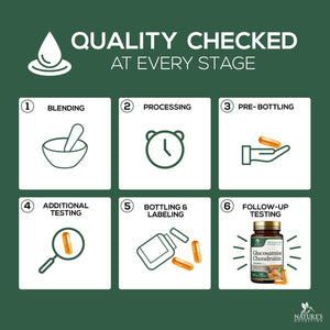 Glucosamine Chondroitin Supplements MSM Complex - 60 Capsules