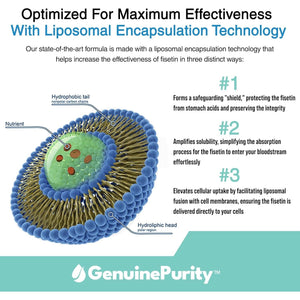 Fisetin 150Mg | Supplement for Aging Cognitive Support 60 Capsules
