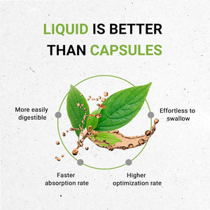 Red Clover Herb USDA Organic Tincture | Made from 100% Certified Organic Red Clover Herb 2 Oz