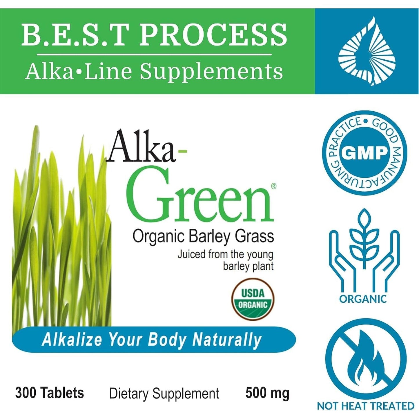 Alka•Green Tablets Best Process Alkaline - Natural Source of Enzymes & Amino Acids