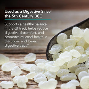 Nutricology Mastic Gum Dietary Supplement - 60 Count